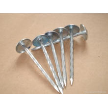 Hot-Dipped galvanizado Umbrella Roofing Nail